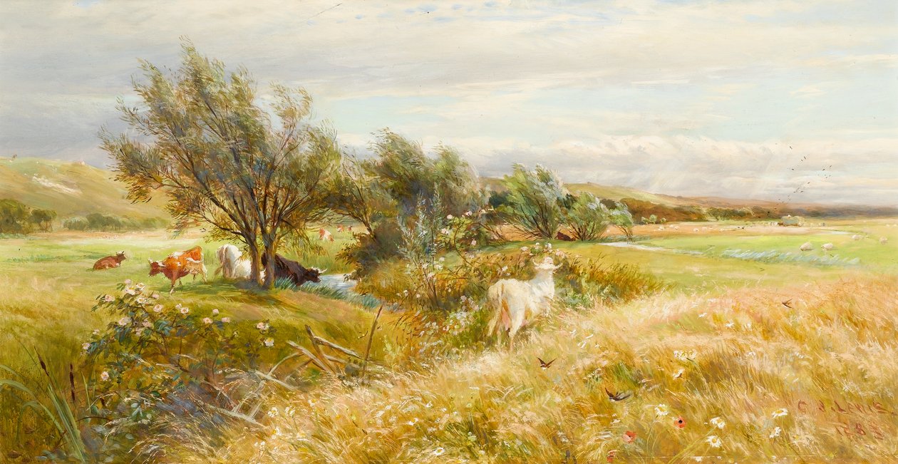 Bétail dans un pré humide - Charles James Lewis