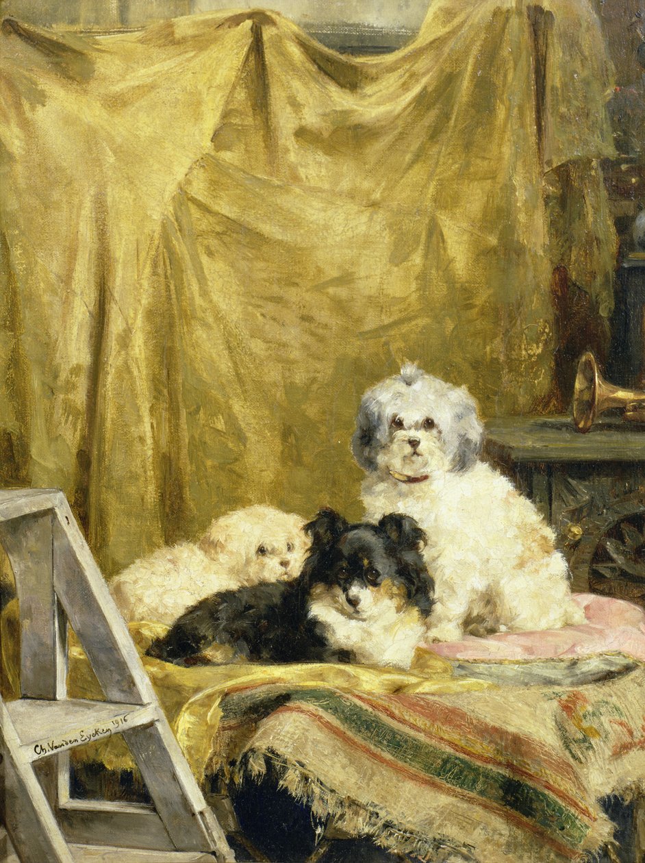 Trois chiens - Charles van den Eycken