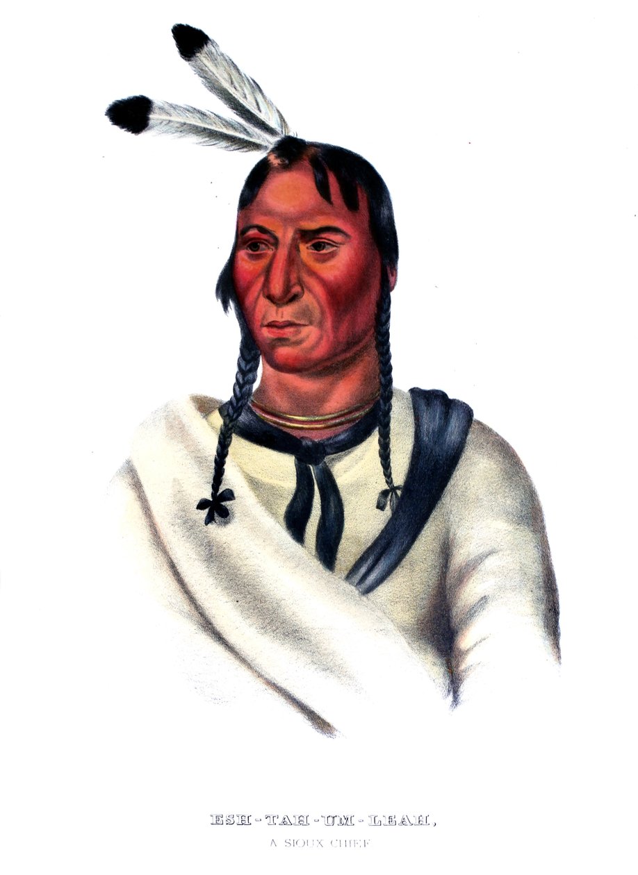 Eshtahumbah (Yeux endormis), un chef Sioux - Charles Bird King