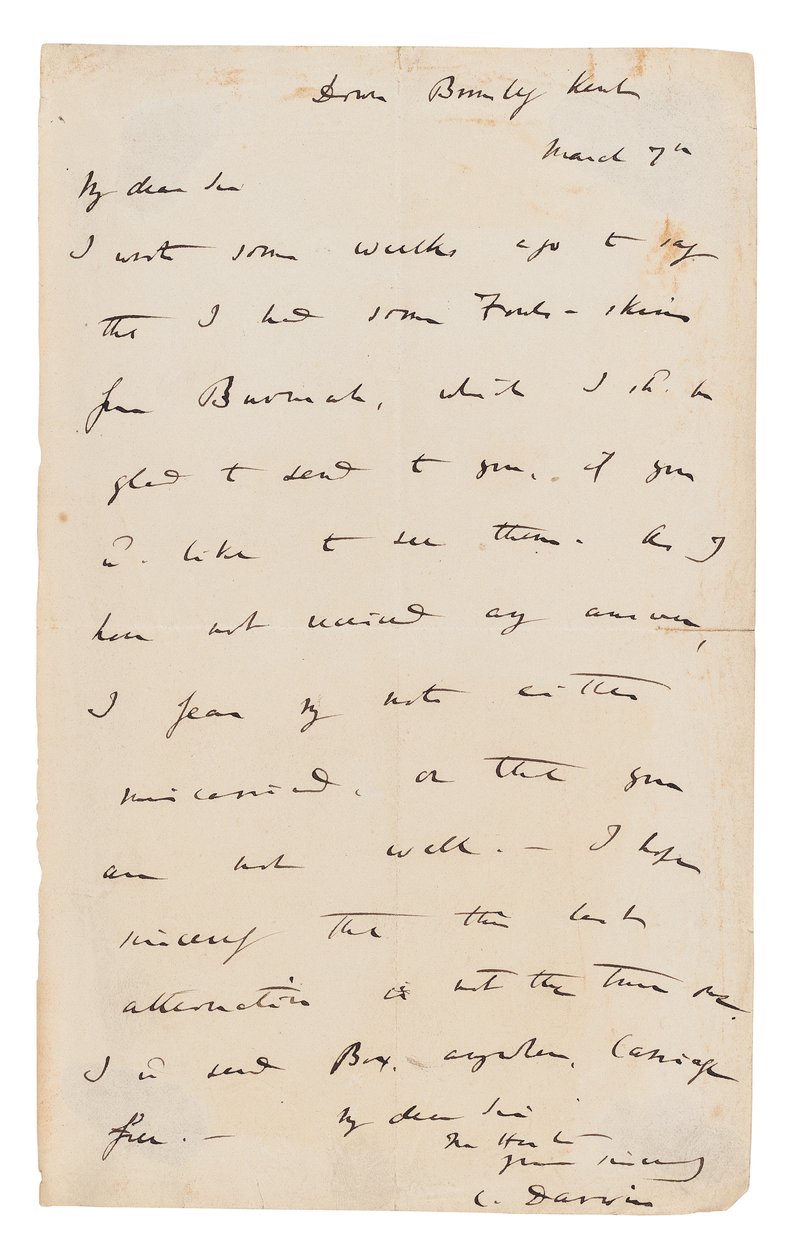 Lettre autographe signée - Charles Darwin