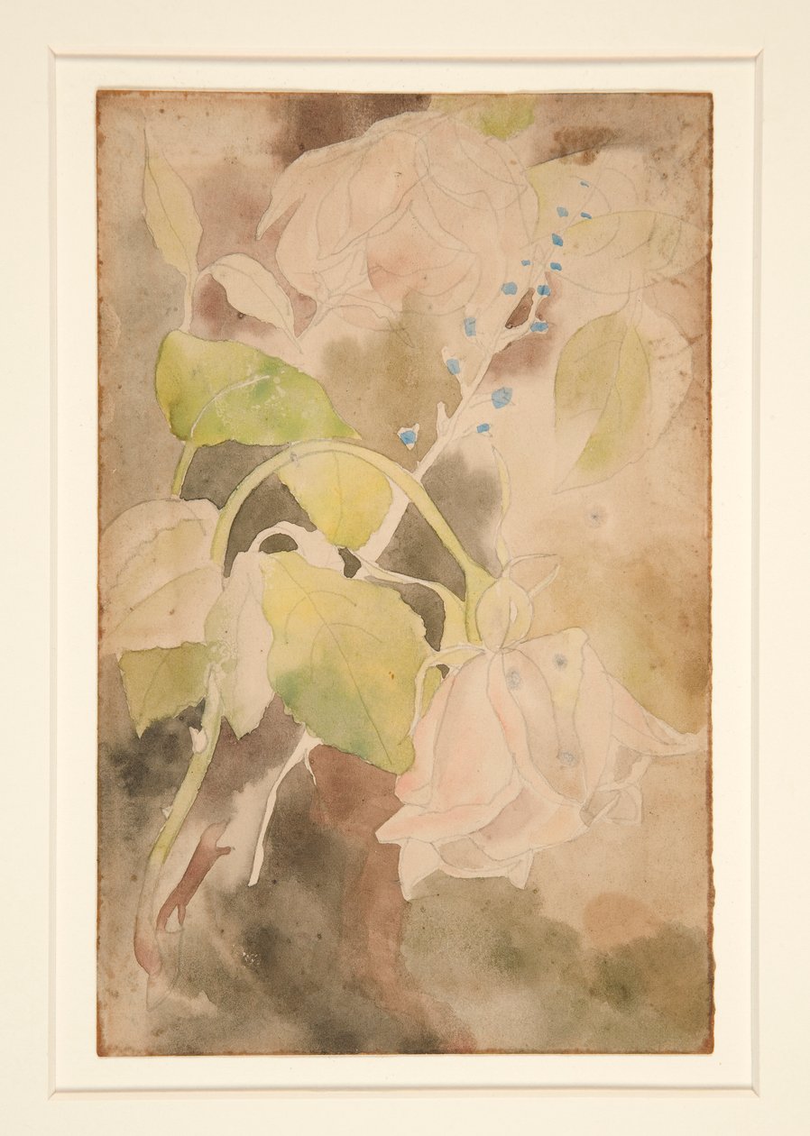 Rose Pêche - Charles Demuth