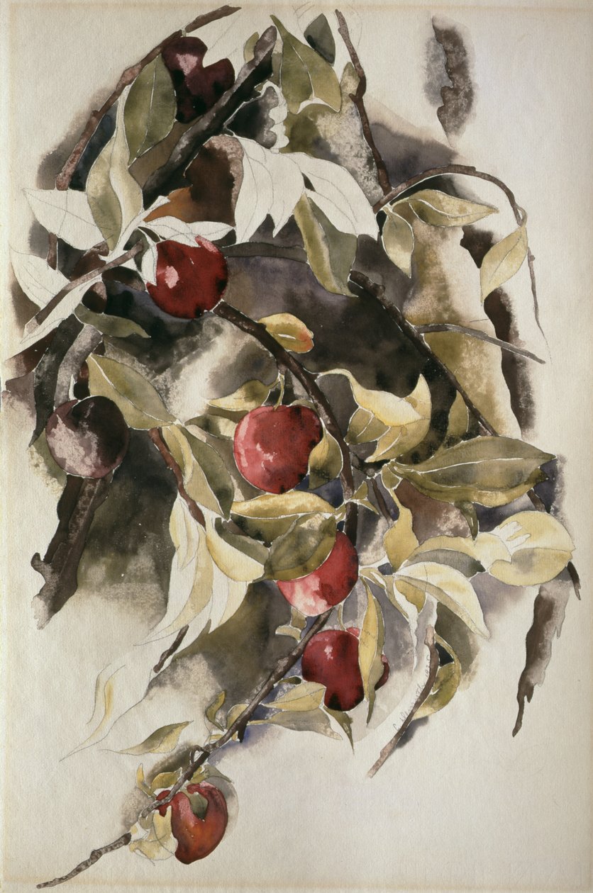 Prunes, 1925 - Charles Demuth