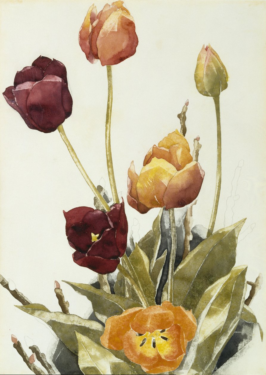 Tulipes, 1933 - Charles Demuth