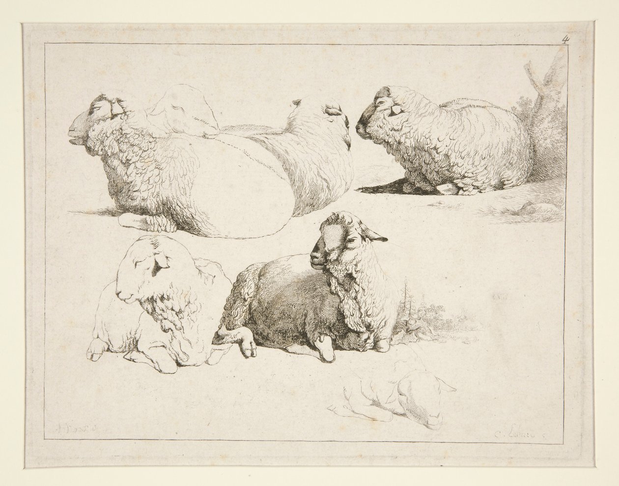 Moutons au pâturage - Charles Echard
