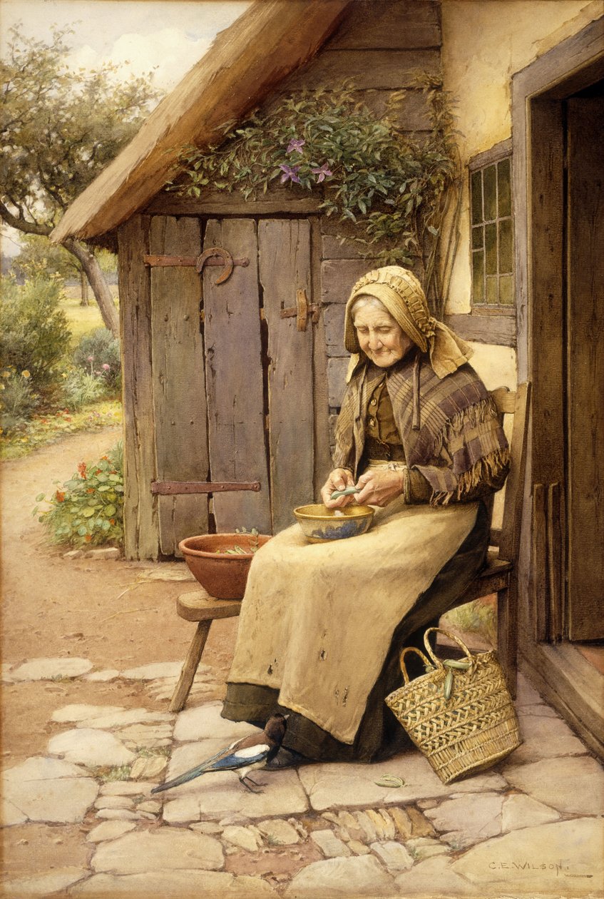 Un ami à plumes fines - Charles Edward Wilson