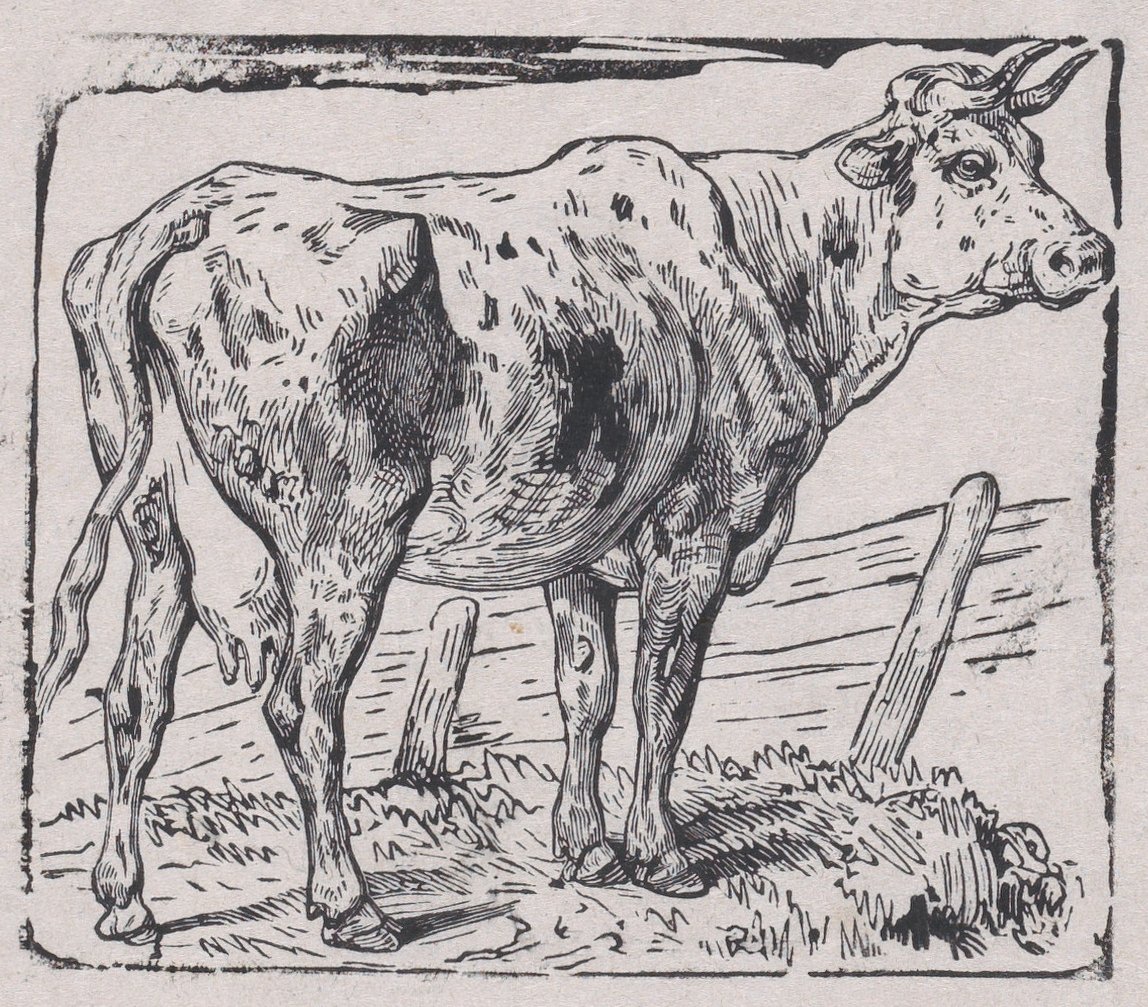 Une vache - Charles Emile Jacque
