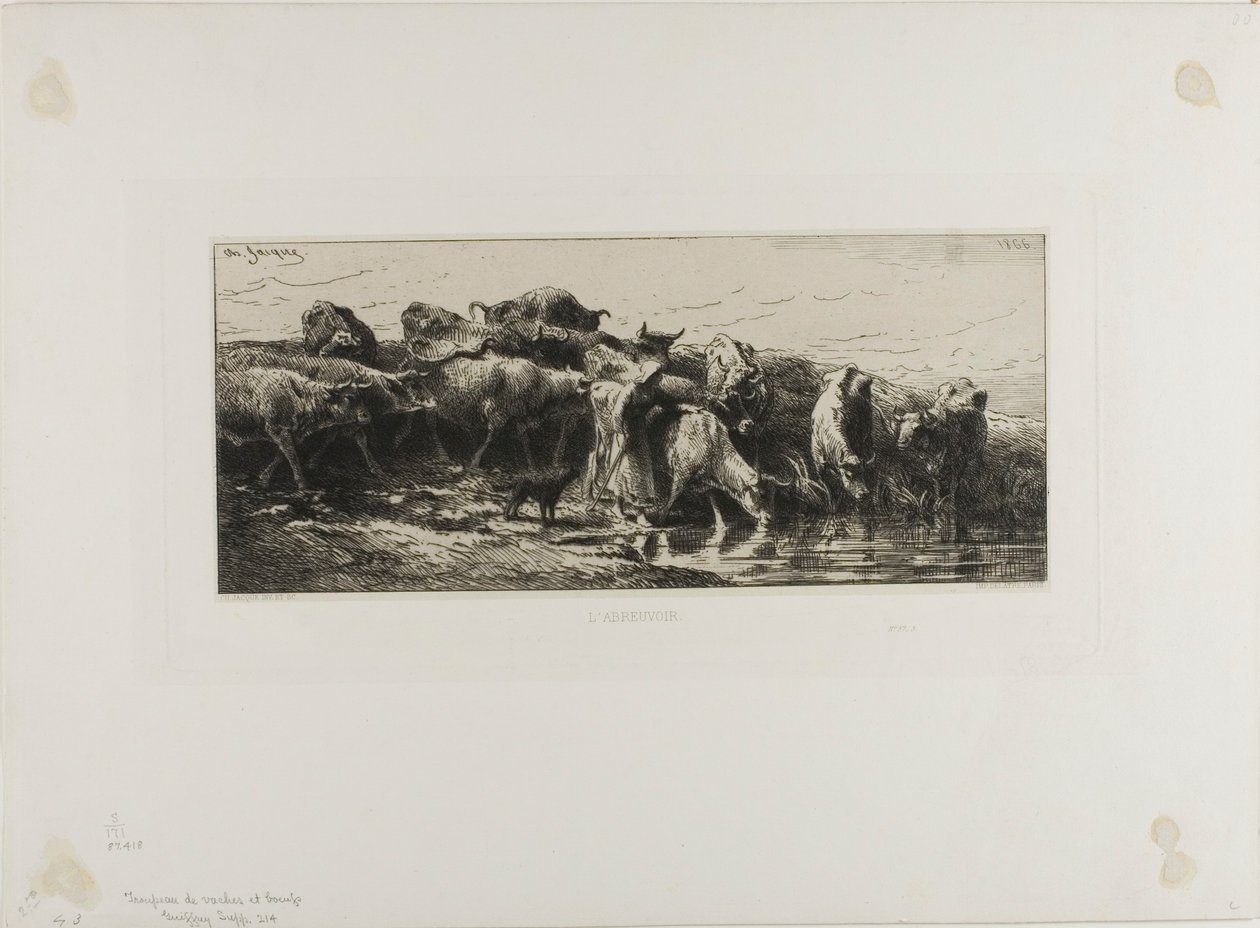 Vaches buvant - Charles Emile Jacque
