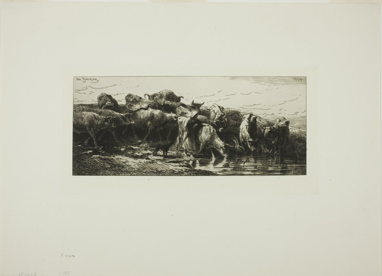 Vaches Buvant à la Rivière - Charles Emile Jacque