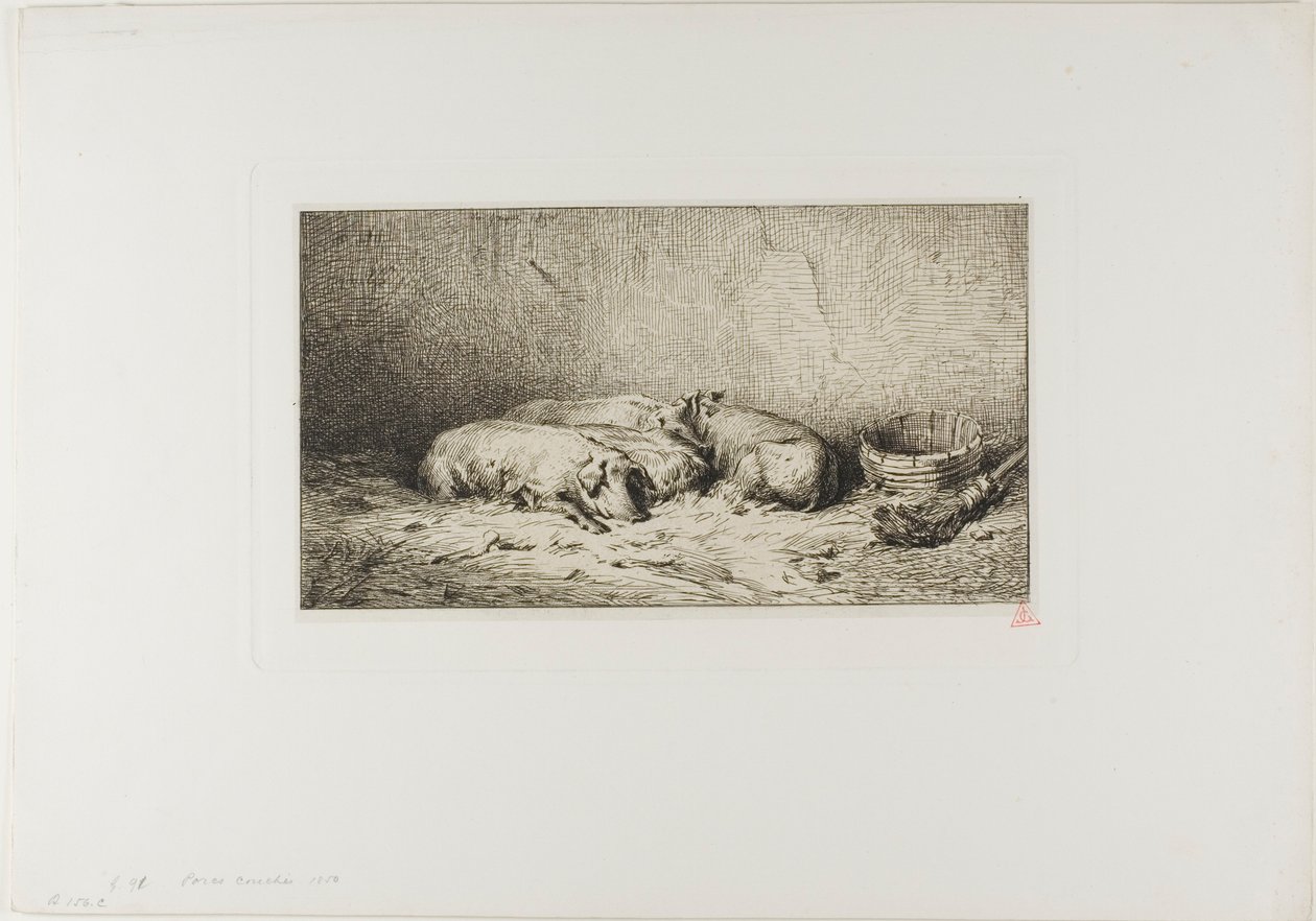 Quatre cochons endormis - Charles Emile Jacque