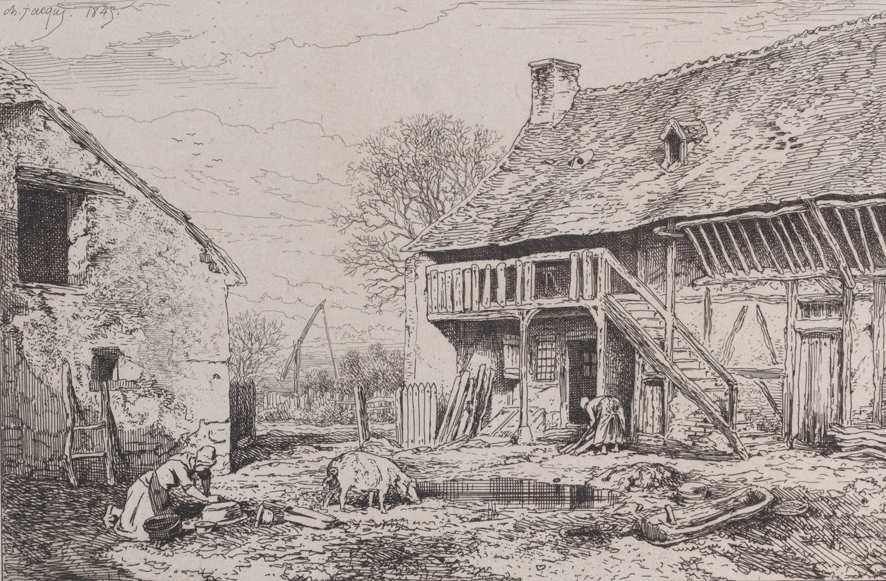 Paysage de la cour d