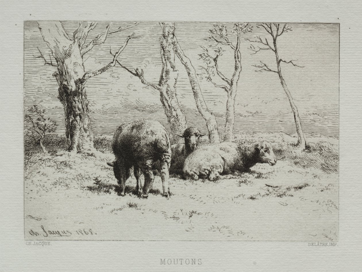 Moutons - Charles Emile Jacque