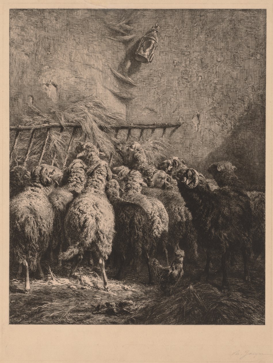 Enclos à moutons en Béarn - Charles Emile Jacque