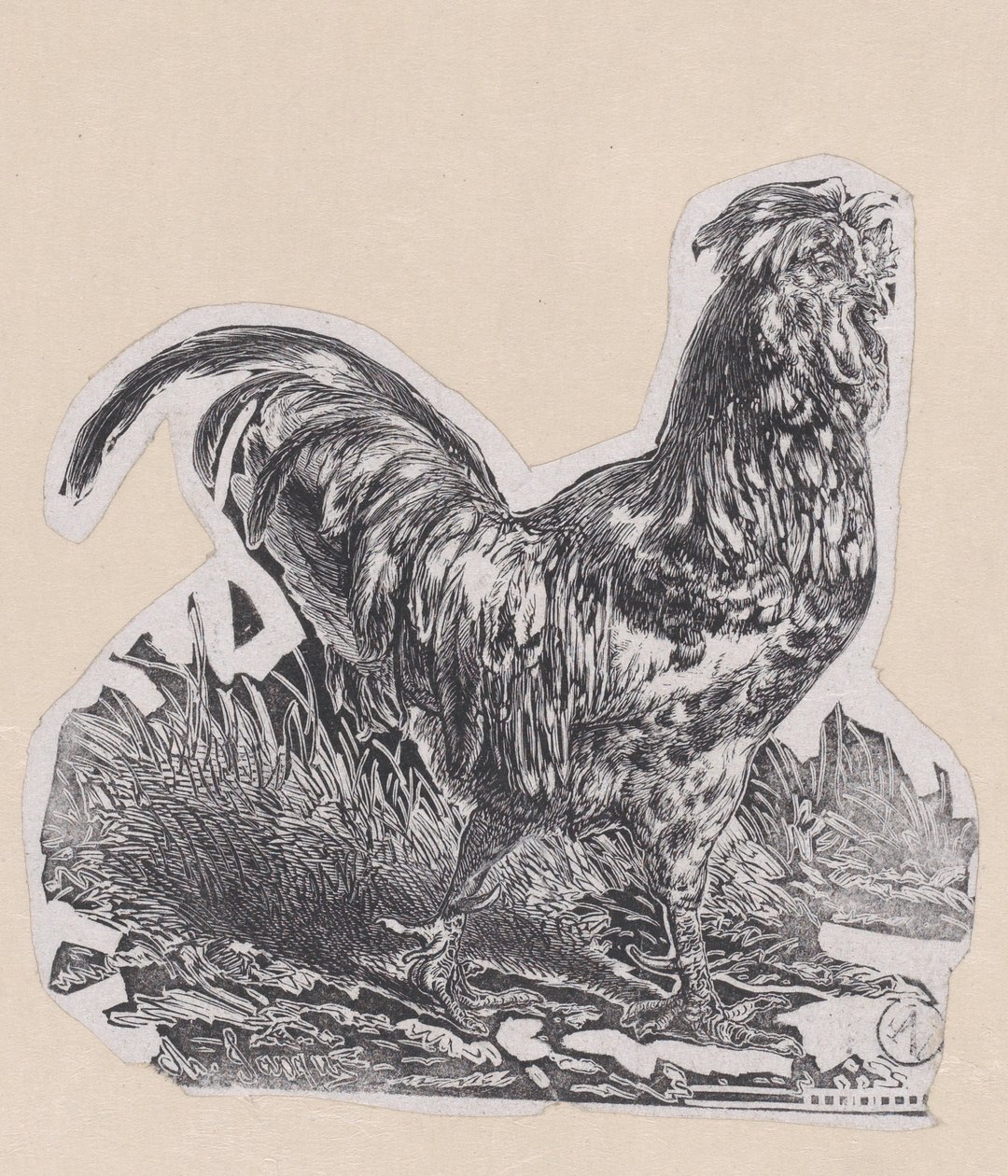 Le coq - Charles Emile Jacque