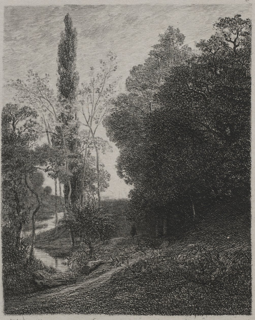 Rives de la rivière Cousin, 1850 - Charles Francois Daubigny