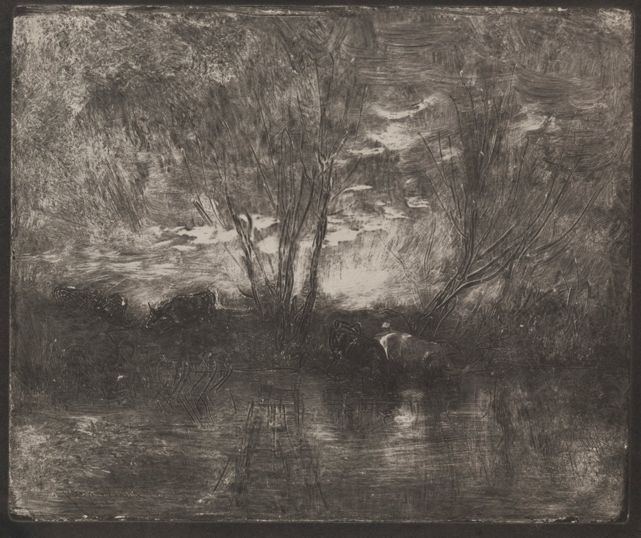 Vaches à un abreuvoir - Charles Francois Daubigny