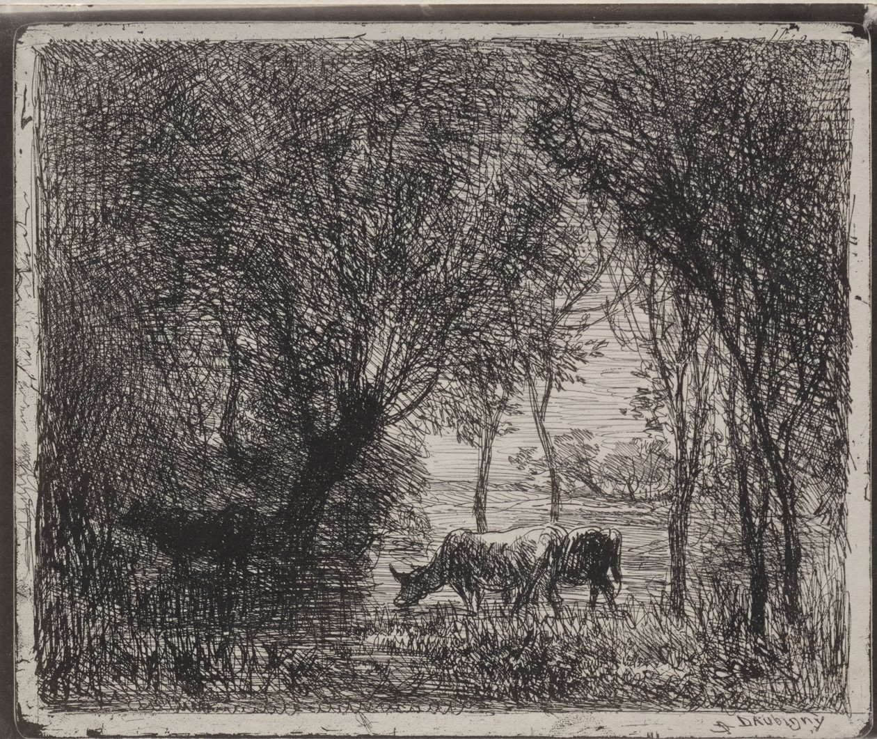 Vaches dans les bois - Charles Francois Daubigny