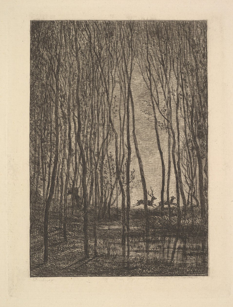 Cerfs dans les Bois, 1850 - Charles Francois Daubigny