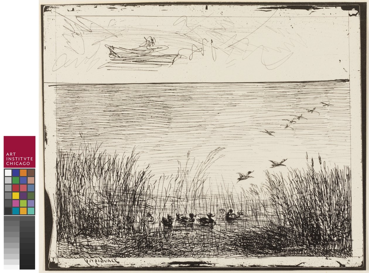 Marais avec des canards, 1862 - Charles Francois Daubigny