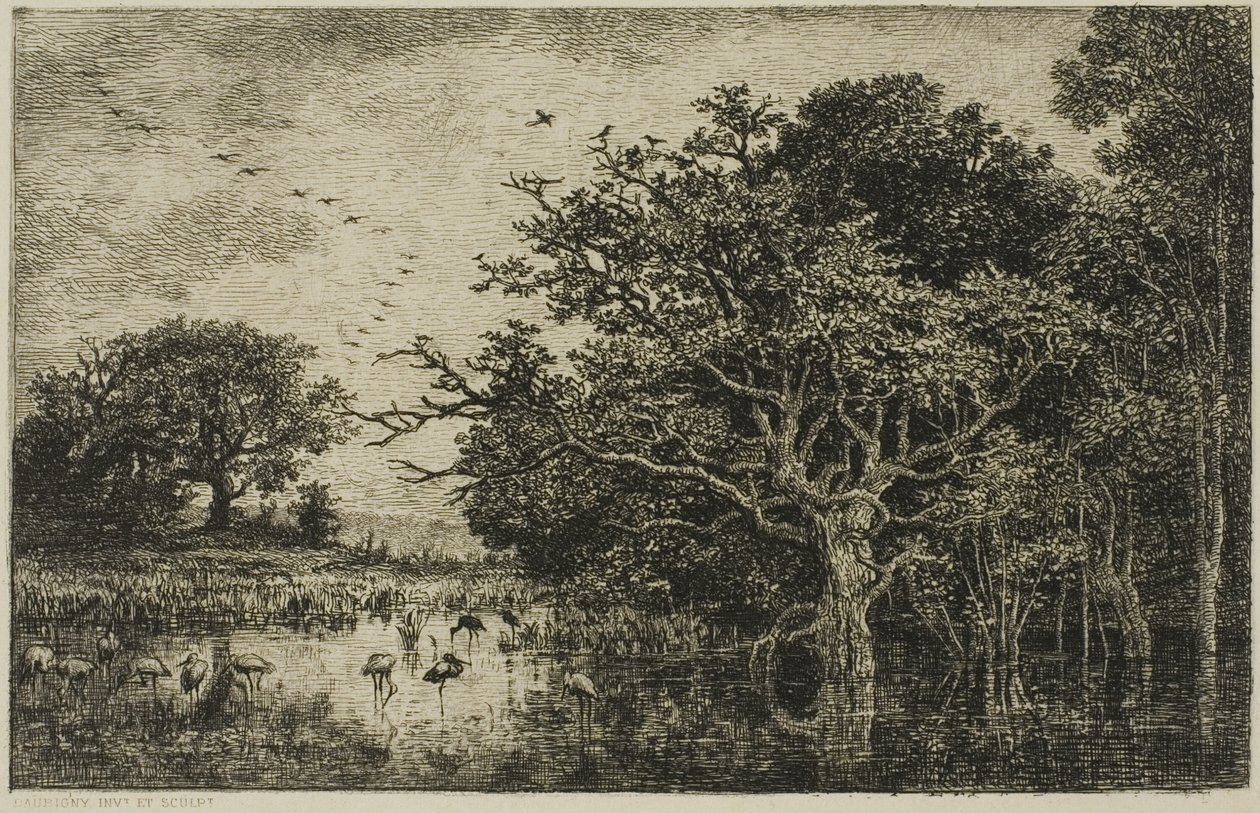 Le Marais avec des cigognes - Charles Francois Daubigny