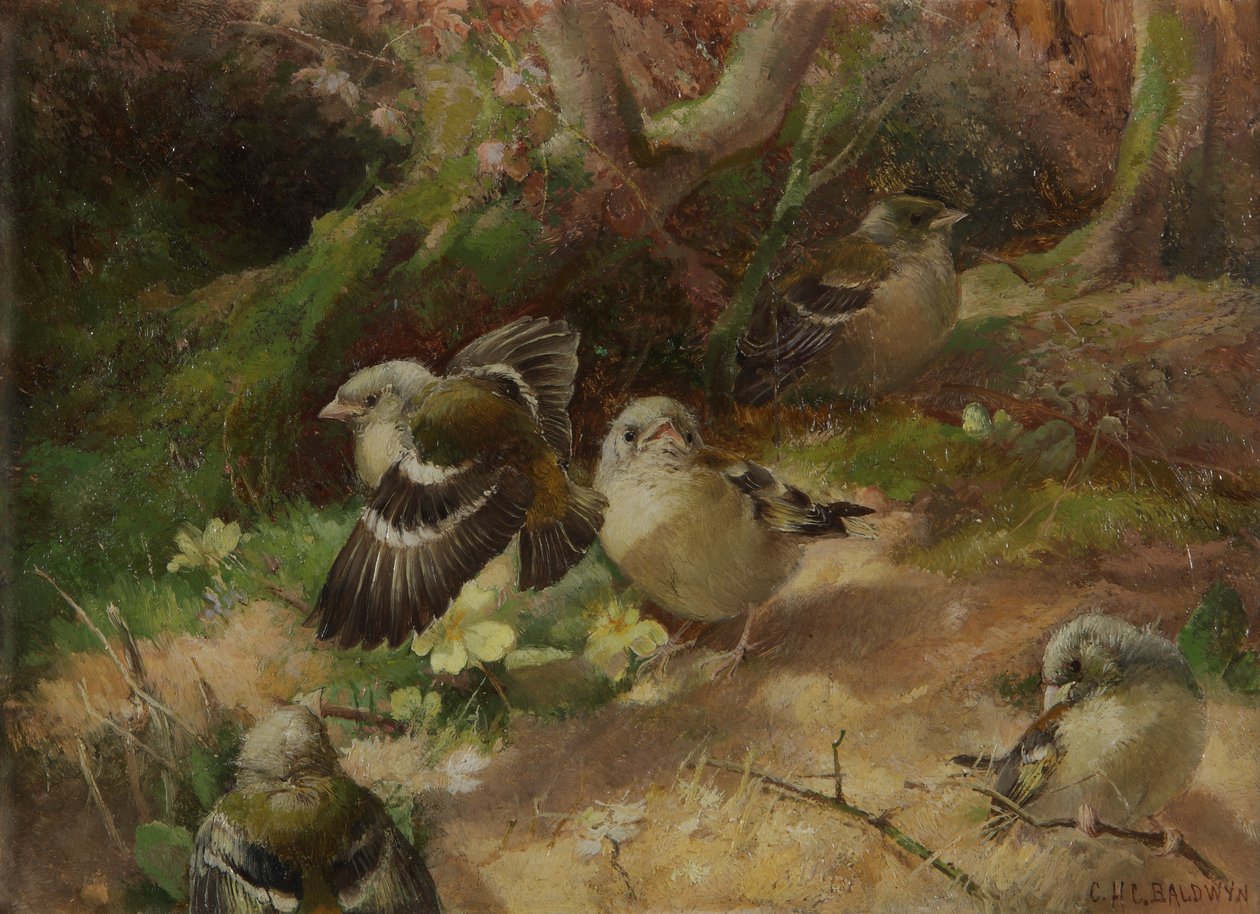 Dans une forêt heureuse - Charles Henry Clifford Baldwyn