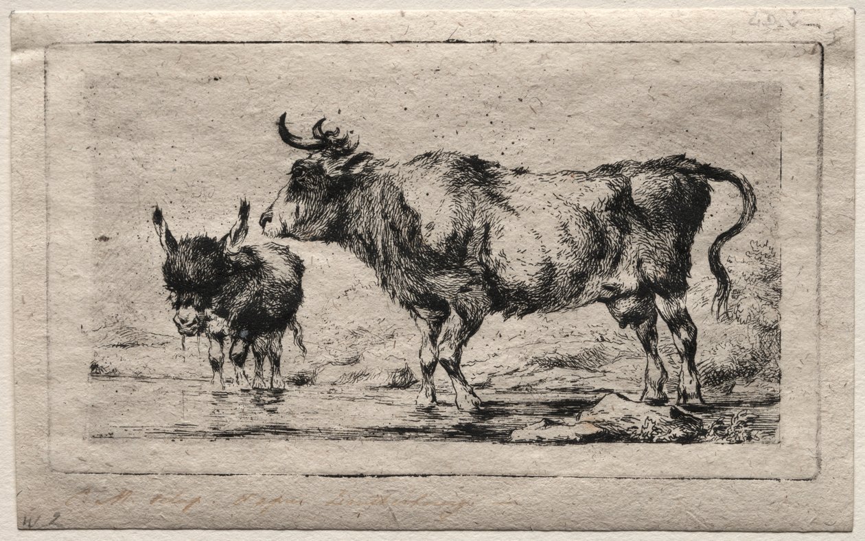 Vache et âne - Charles Meryon