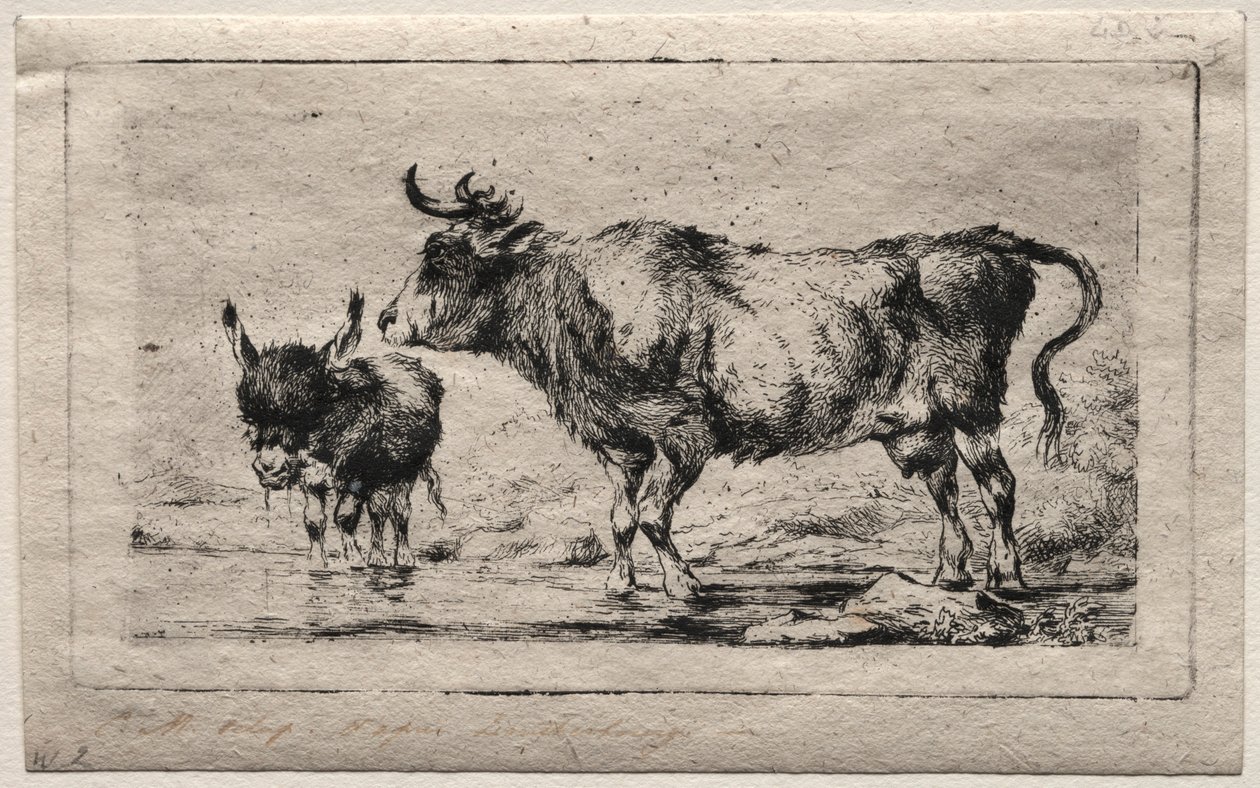 Vache et âne, 1849 - Charles Meryon
