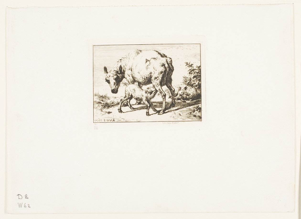 La brebis avec deux agneaux - Charles Meryon