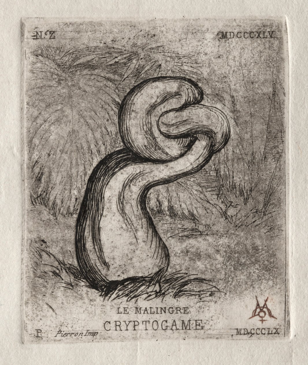 Le cryptogame maladif - Charles Meryon