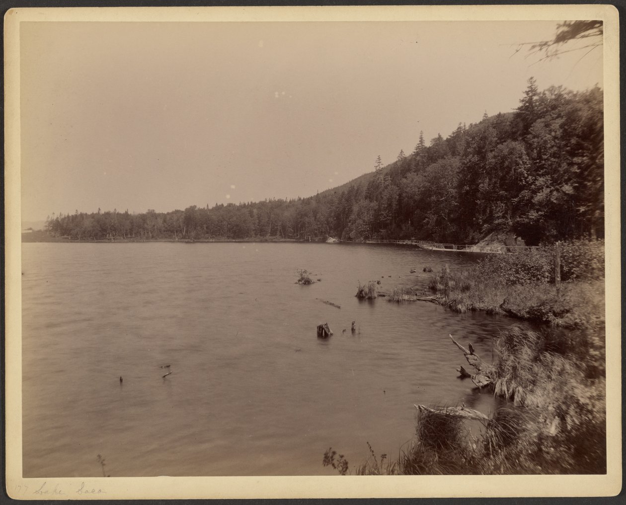 Lac Saco - Charles P. Hibbard