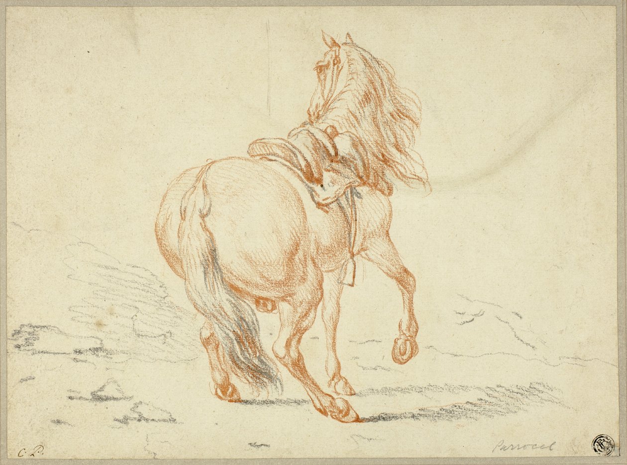 Cheval sans cavalier - Charles Parrocel