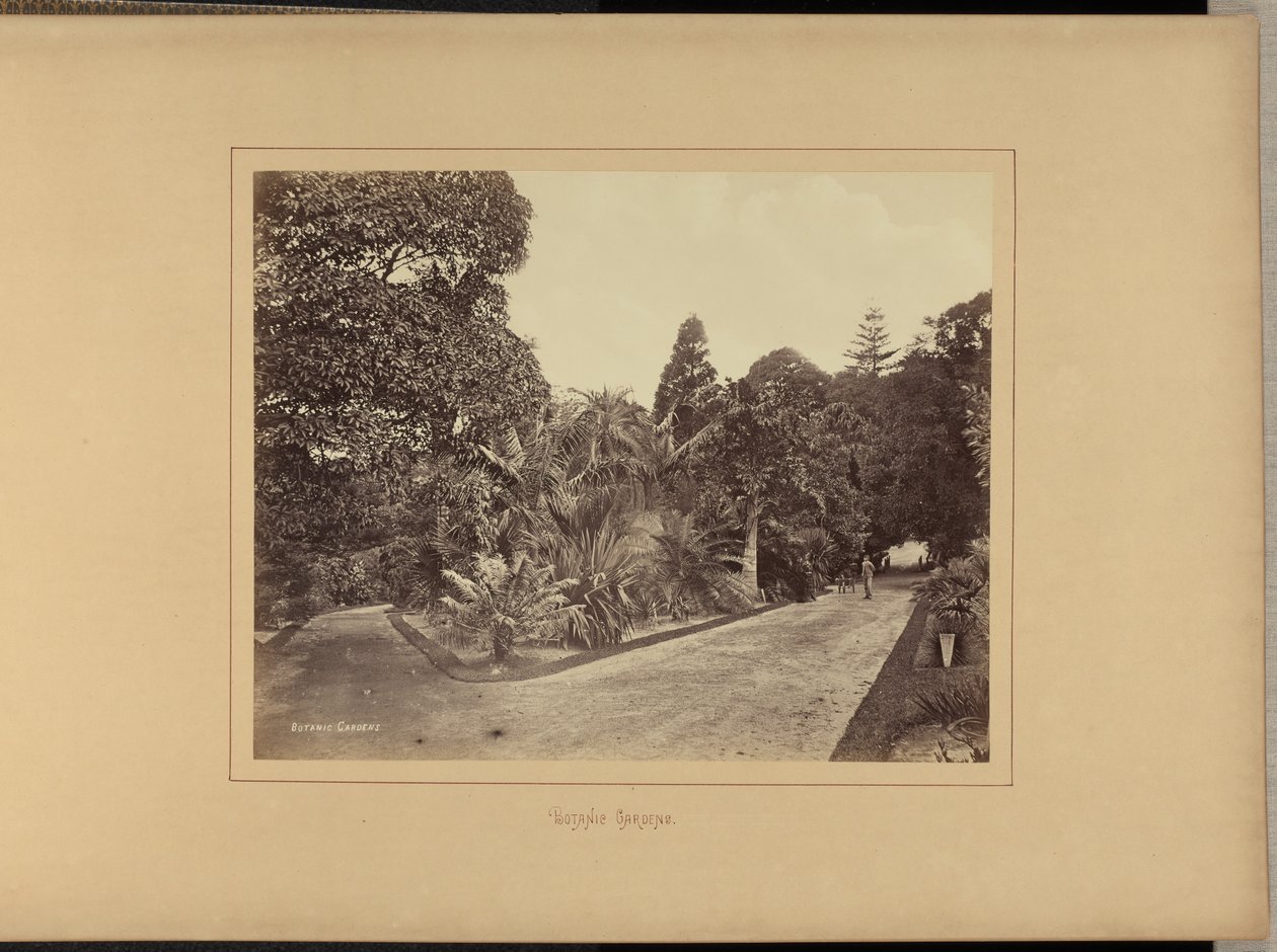 Jardins botaniques - Charles Percy Pickering