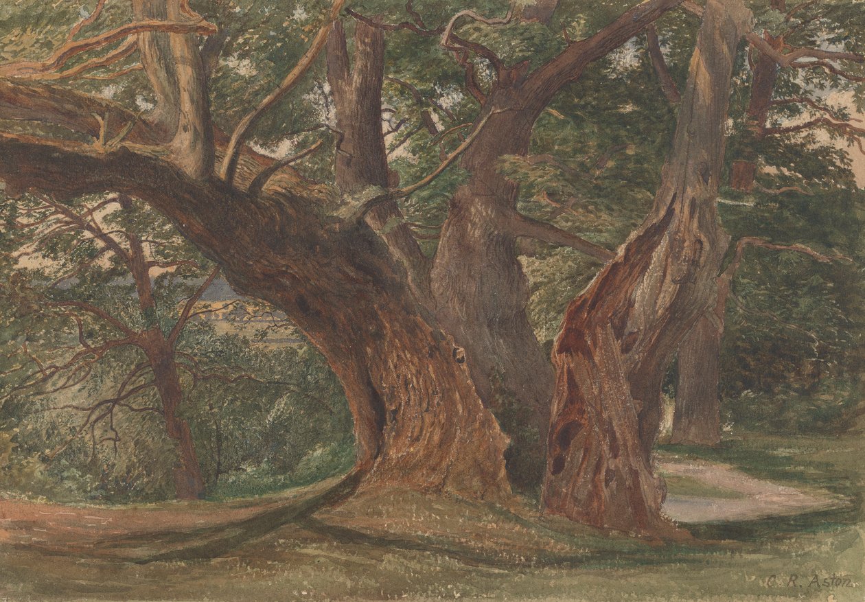 Arbres dans un paysage - Charles Reginald Aston