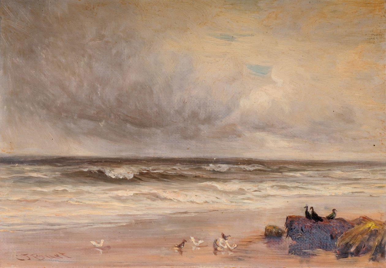 Côte de mer - Charles Thomas Burt