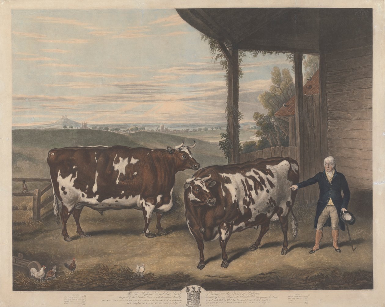 Deux bœufs de Durham - Charles Turner