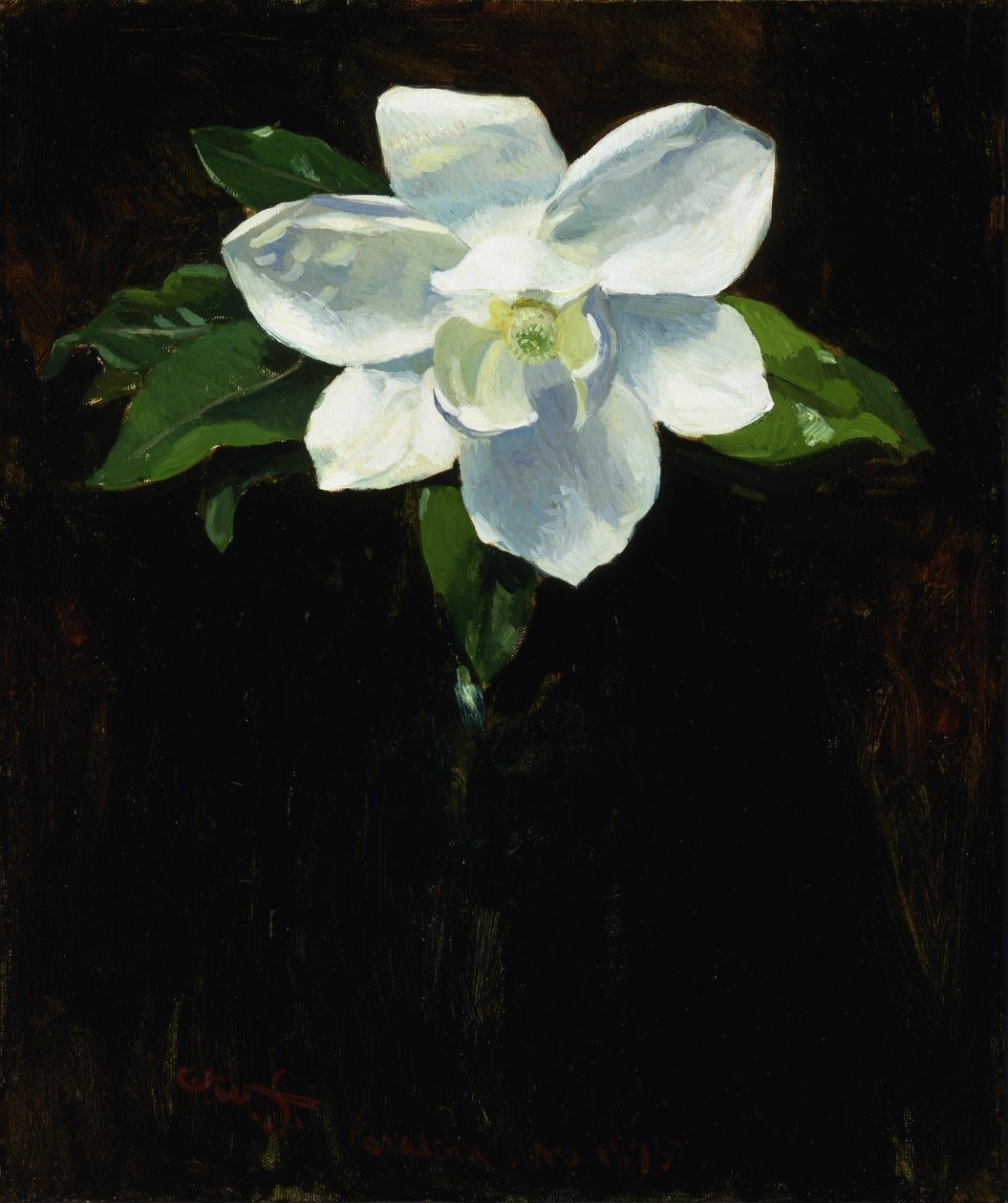 Magnolia - Charles Walter Stetson
