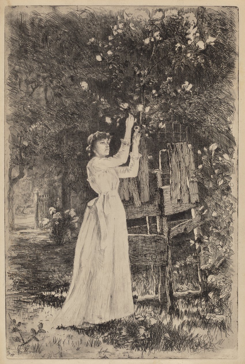 Sans titre (Femme cueillant des fleurs) - Charles Yardley Turner