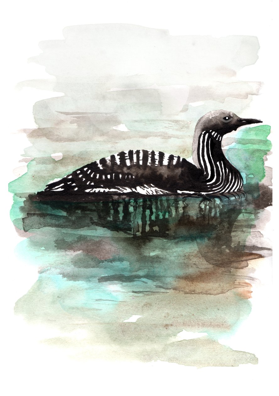Canard, 2020 - Charlotte Orr