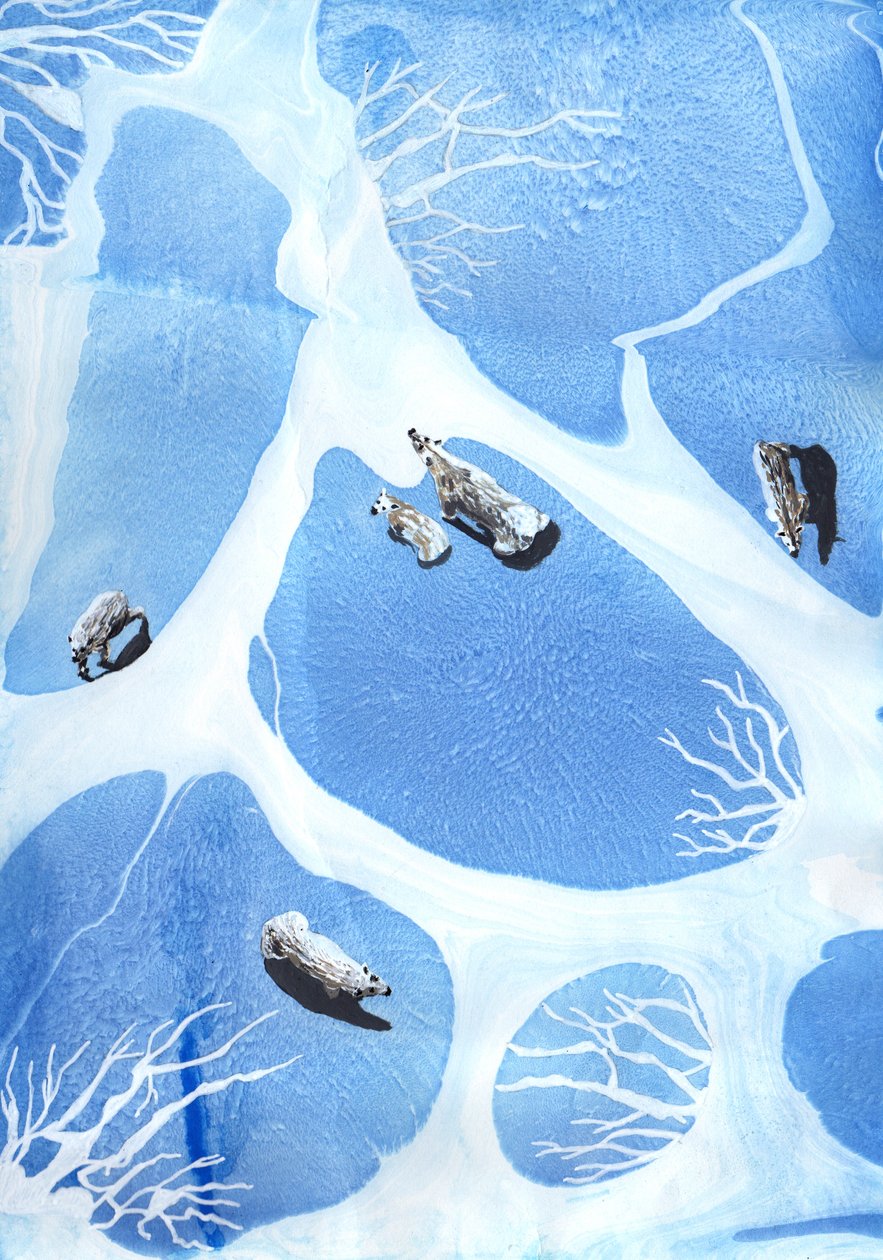 Ours polaires, 2021 - Charlotte Orr