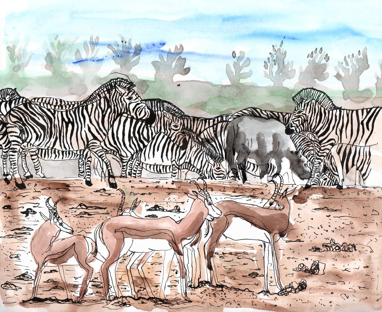 Safari 3 - Charlotte Orr
