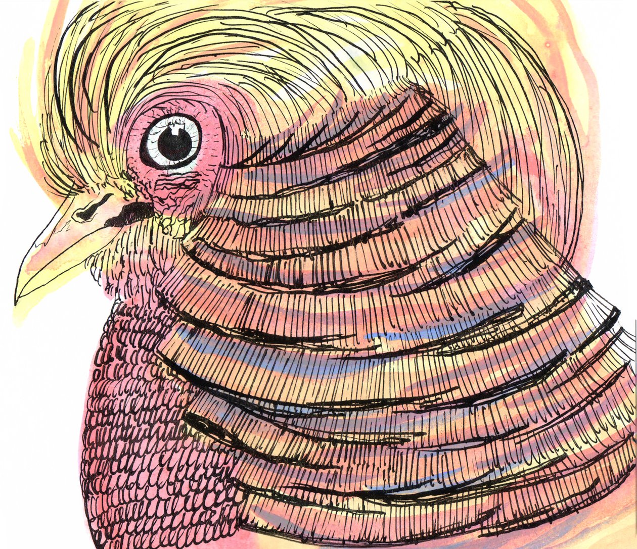 Oiseau tropical, 2018 - Charlotte Orr