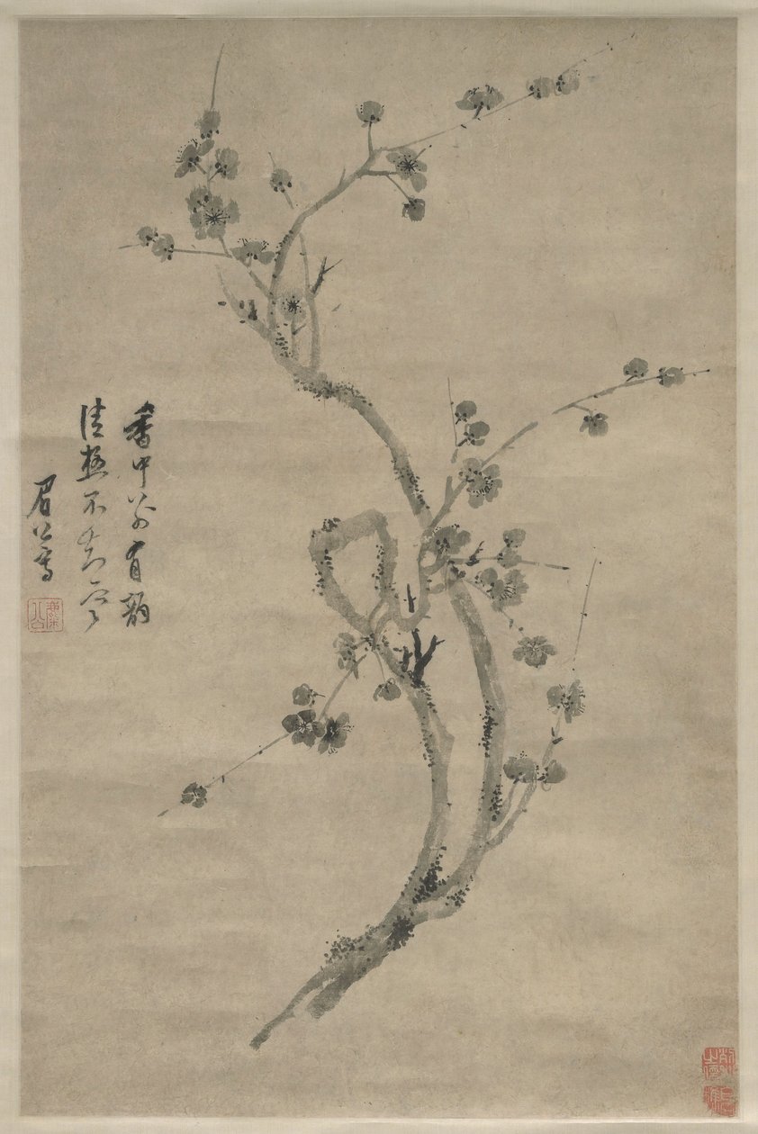 Une branche coupée de prunier en fleurs - Chen Jiru
