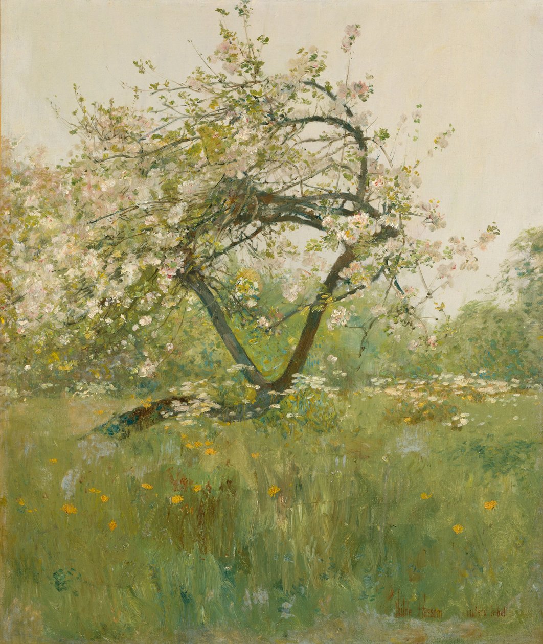 Fleurs de pêcher, Villiers-le-Bel - Childe Frederick Hassam