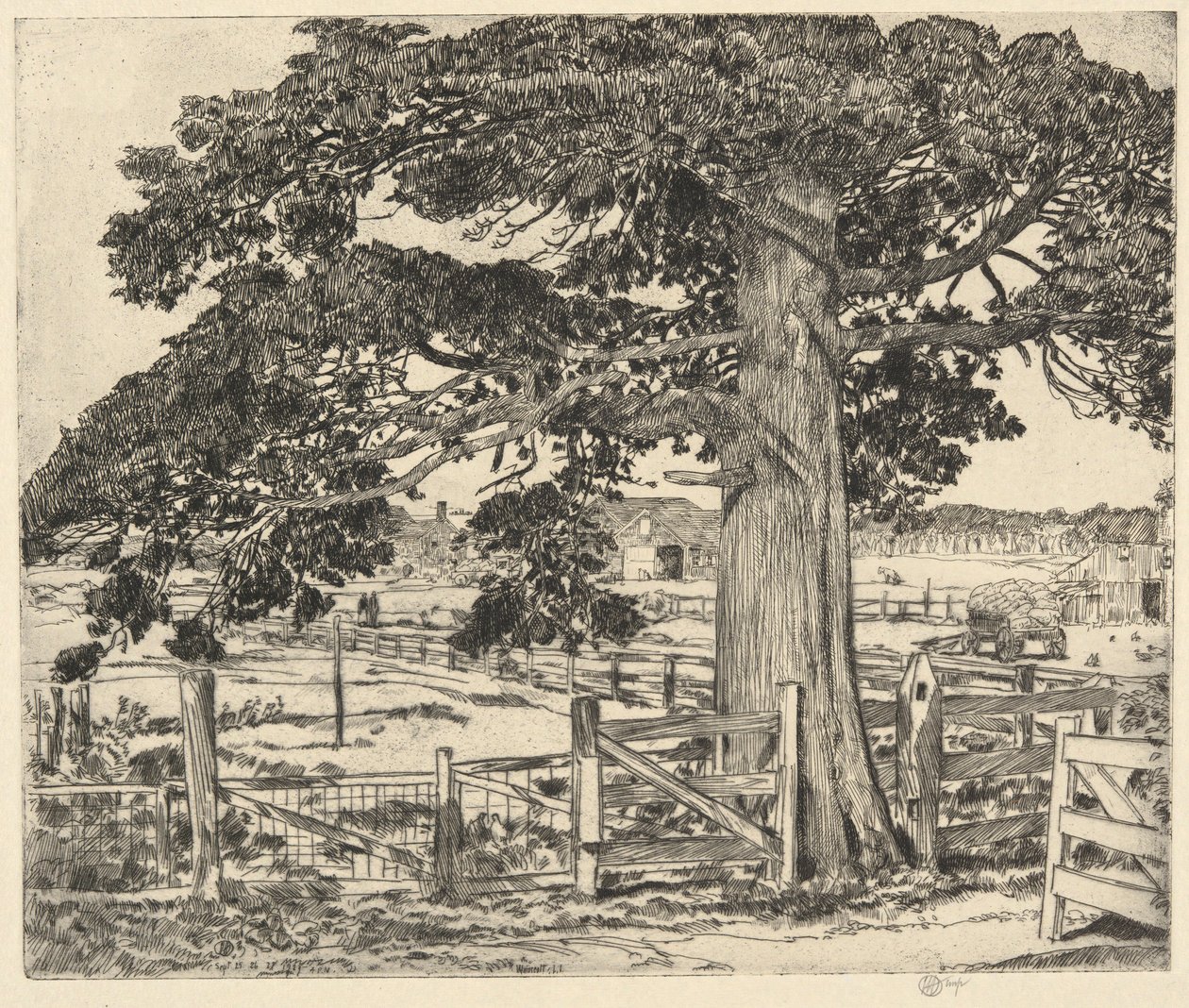 Grand Cèdre, Wainscott, L. I., 1929 - Childe Hassam