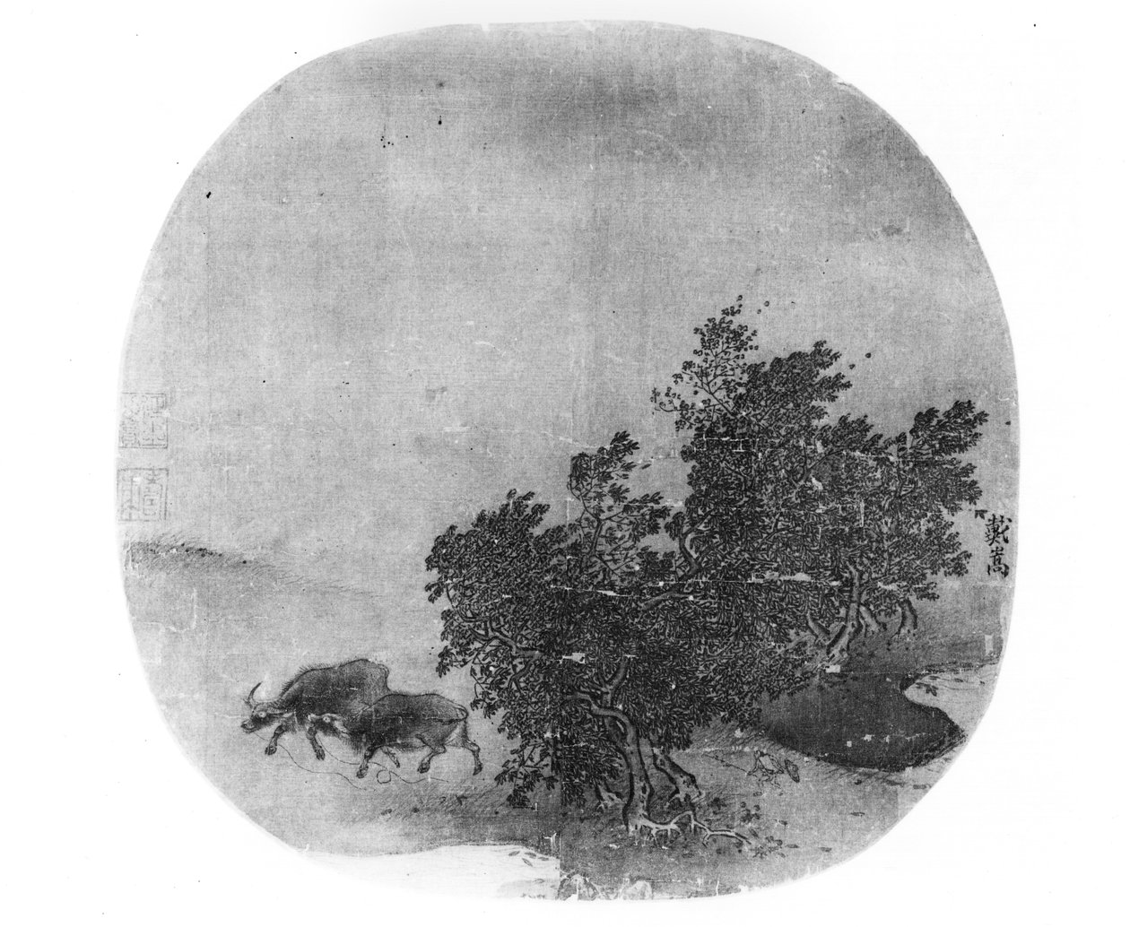 Paysage avec buffles d