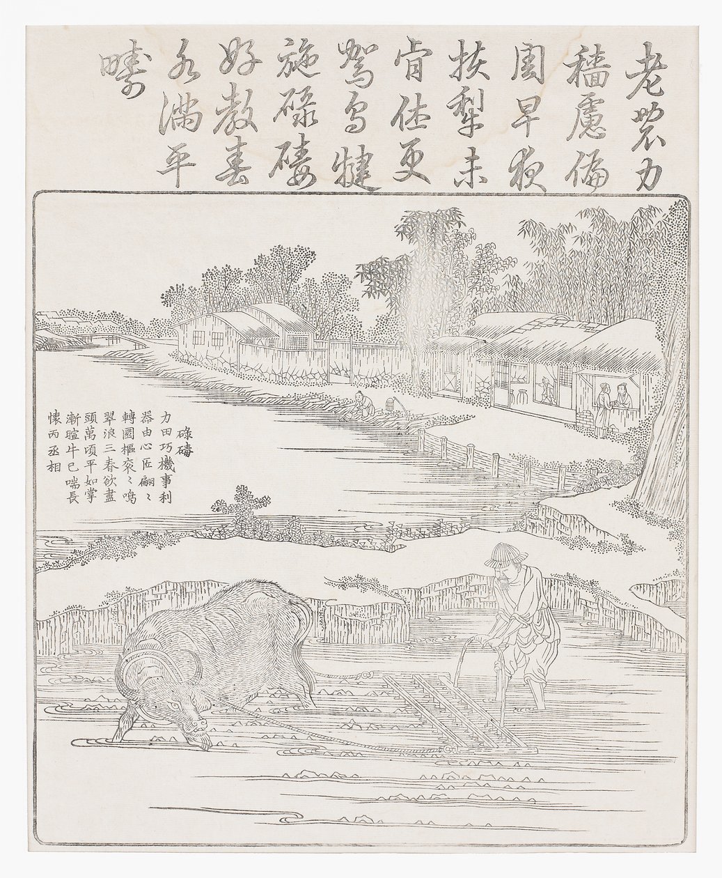 Labourage de la rizière, 18ème siècle - Chinese School