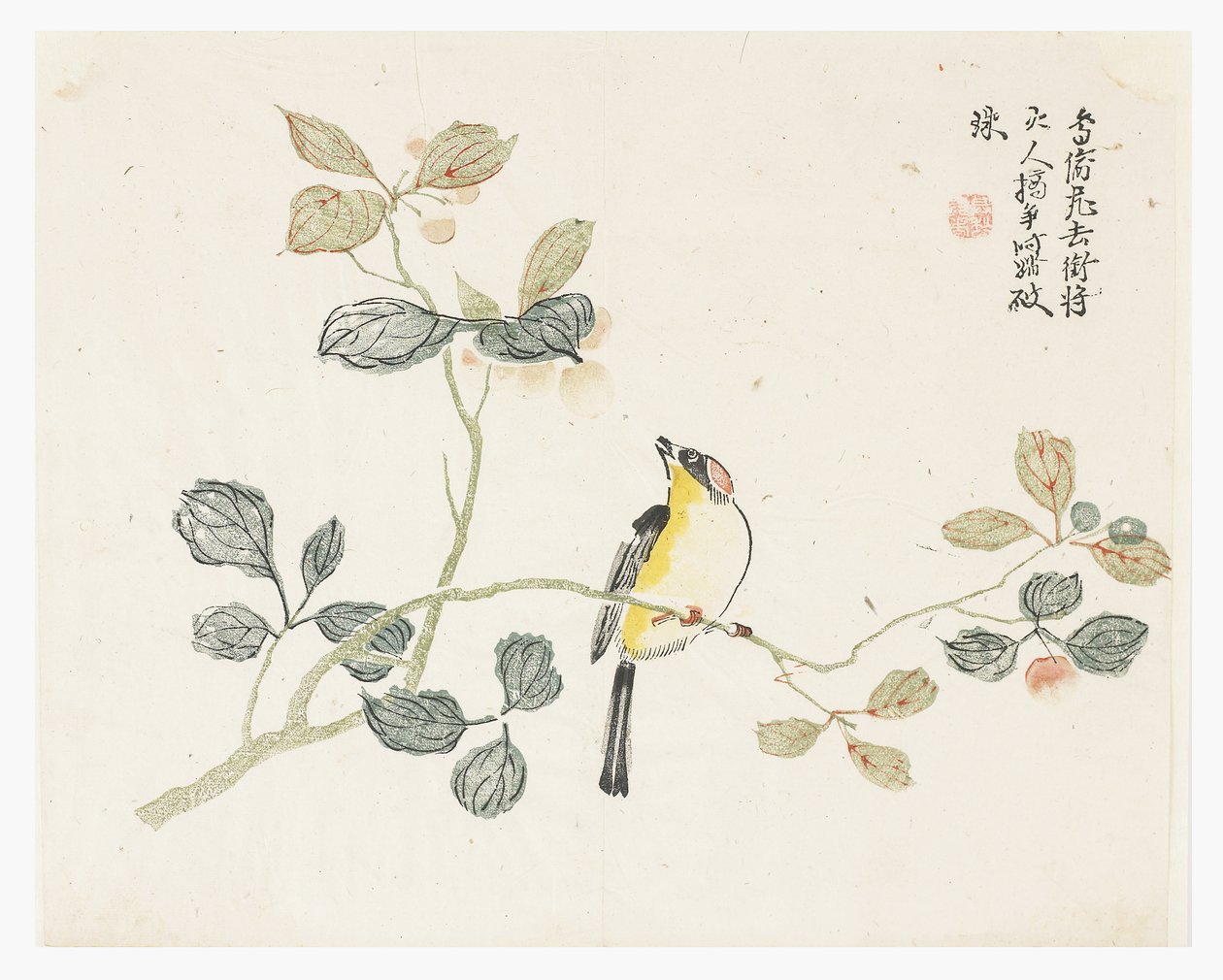 Jardin de graines de moutarde - Chinese School