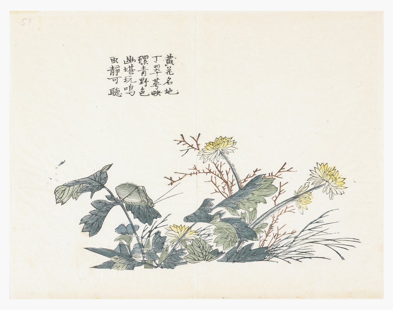 Jardin de graines de moutarde - Chinese School