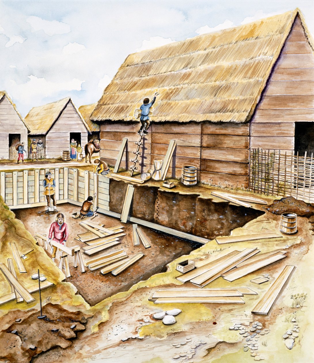 Bâtiments vikings - Chris Evans