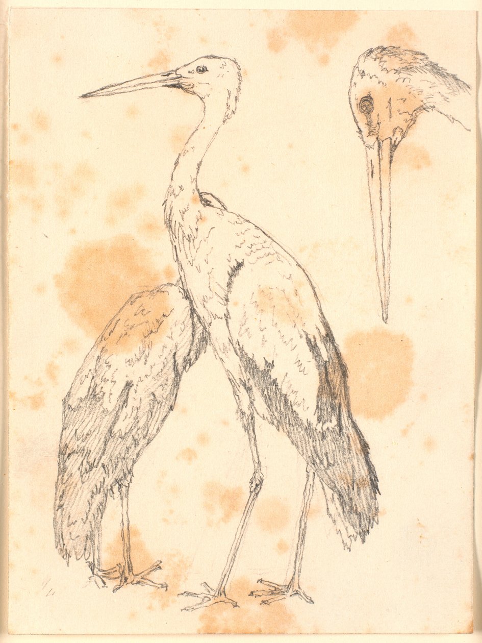 Cigognes - Christen Købke