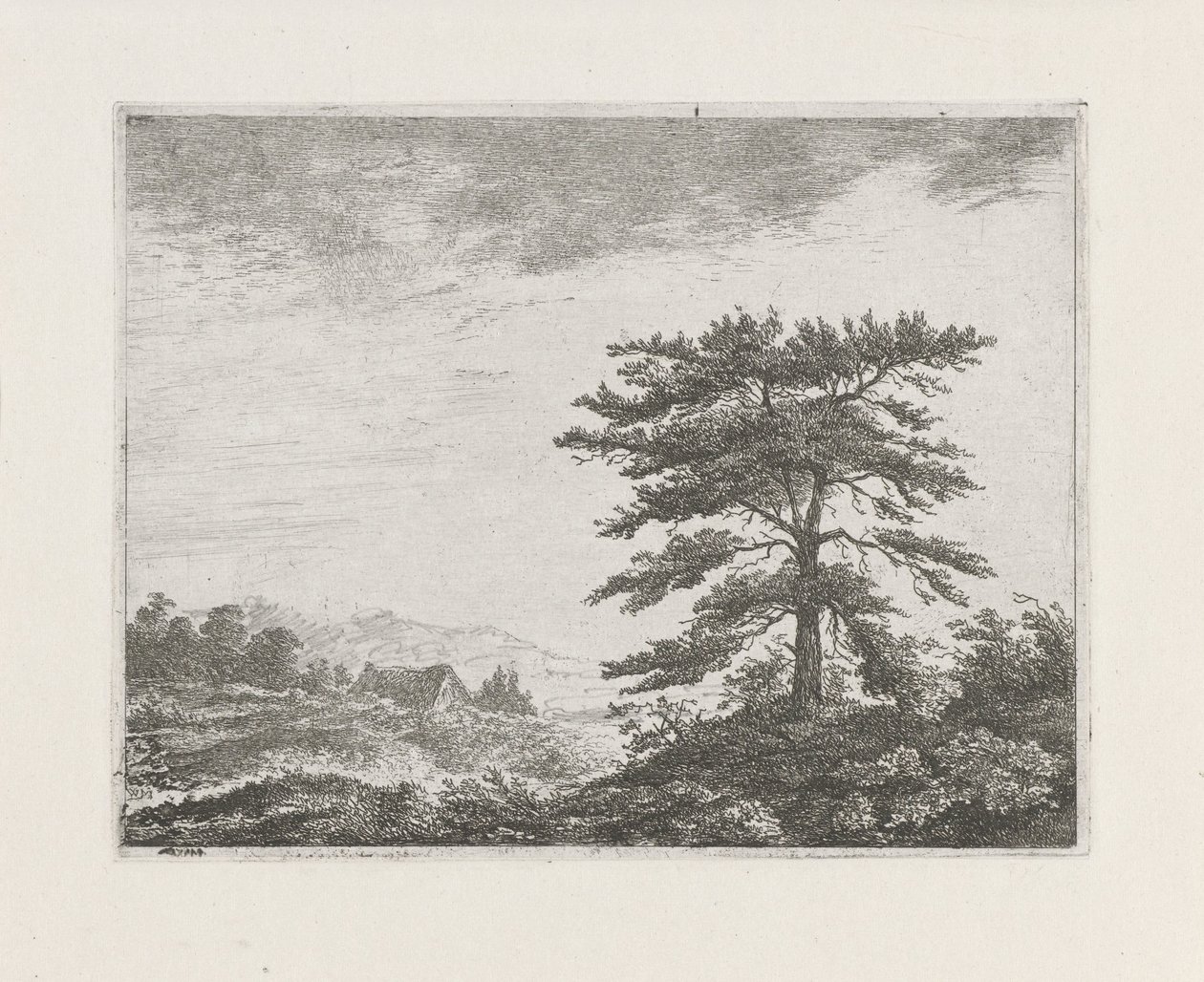 Arbre dans un paysage de bruyère - Christiaan Wilhelmus Moorrees